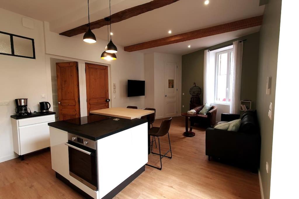 Classe 4 Etoiles - Cybele - Centre Ville 2 Chambres, Cour Privative Et Garage เวียน ภายนอก รูปภาพ